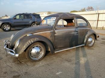  Salvage Volkswagen Beetle