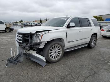  Salvage Cadillac Escalade