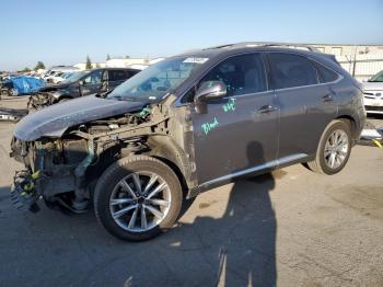  Salvage Lexus RX