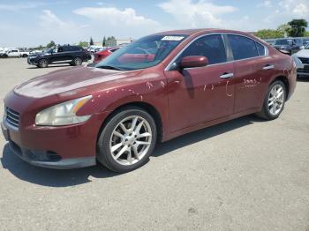  Salvage Nissan Maxima