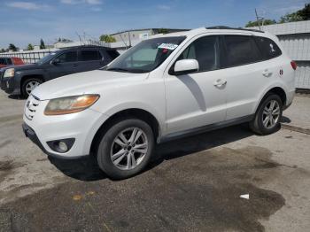  Salvage Hyundai SANTA FE