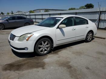  Salvage Nissan Maxima