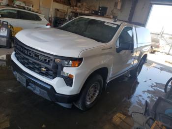  Salvage Chevrolet Silverado