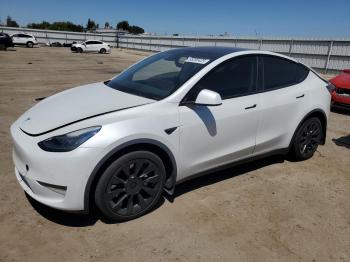  Salvage Tesla Model Y