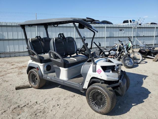  Salvage Epic Golf Cart