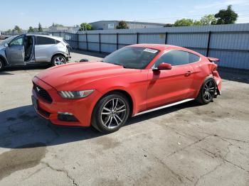  Salvage Ford Mustang