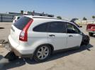 Honda Crv Ex Image 3