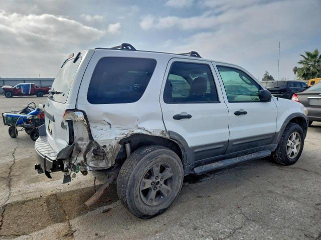 Ford Escape Xlt Image 12