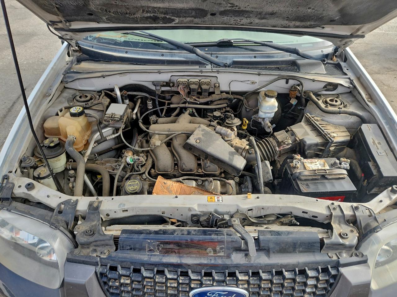 Ford Escape Xlt Image 8