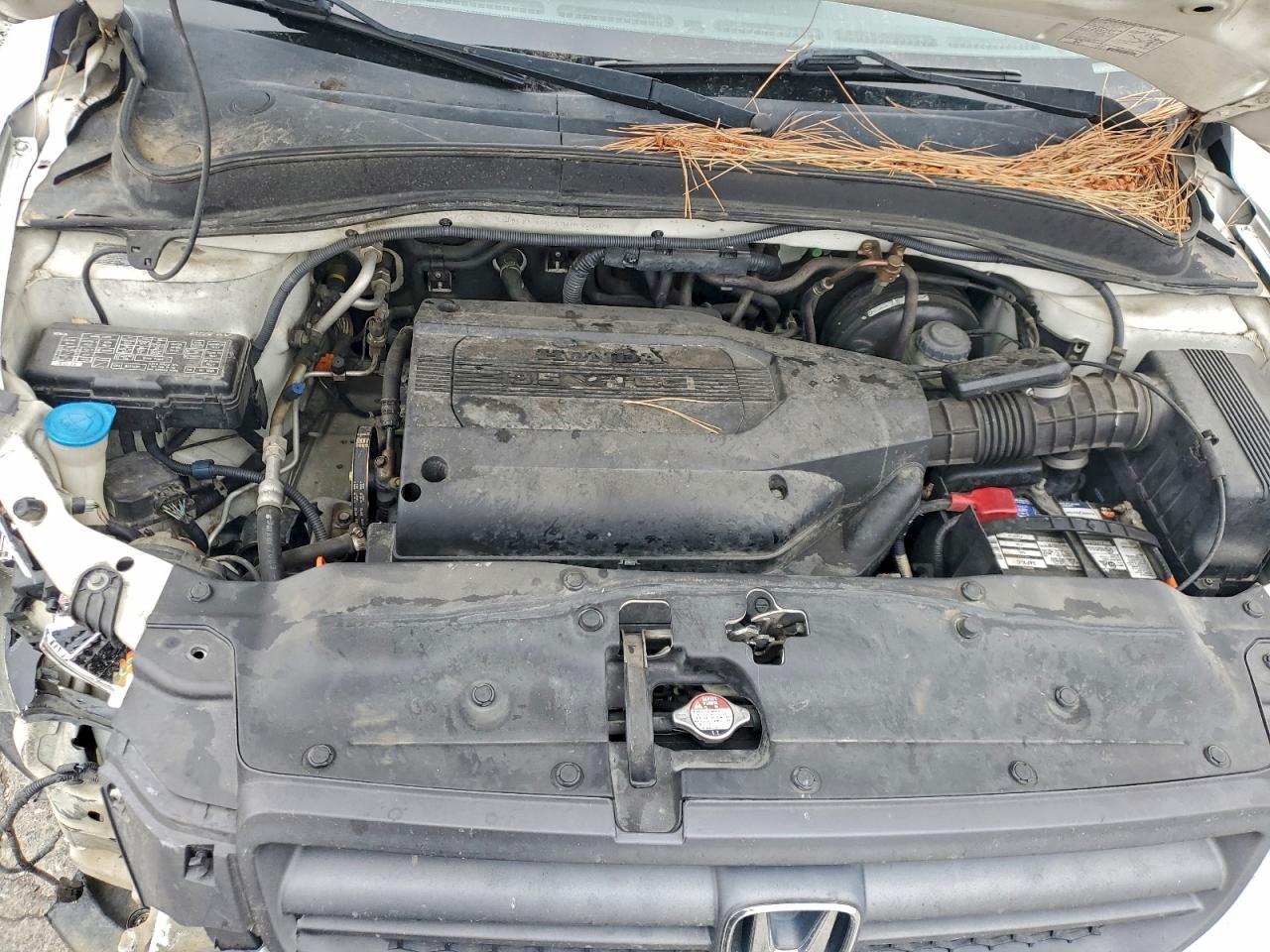 Honda Pilot Exl Image 6