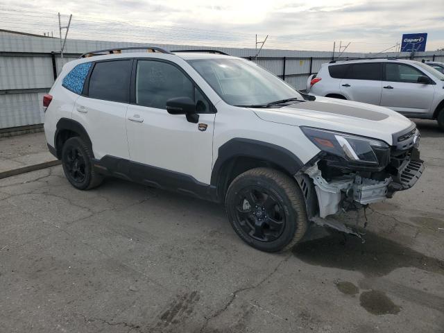 Subaru Forester Wilderness Image 8