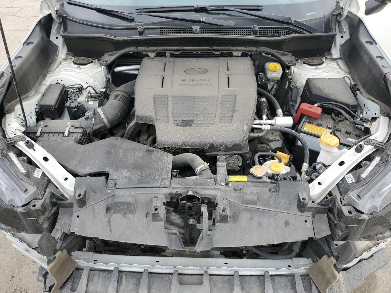 Subaru Forester Wilderness Image 11