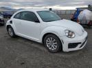 Volkswagen Beetle S Image 6