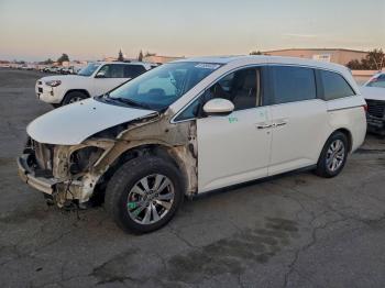  Salvage Honda Odyssey