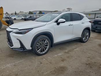  Salvage Lexus NX