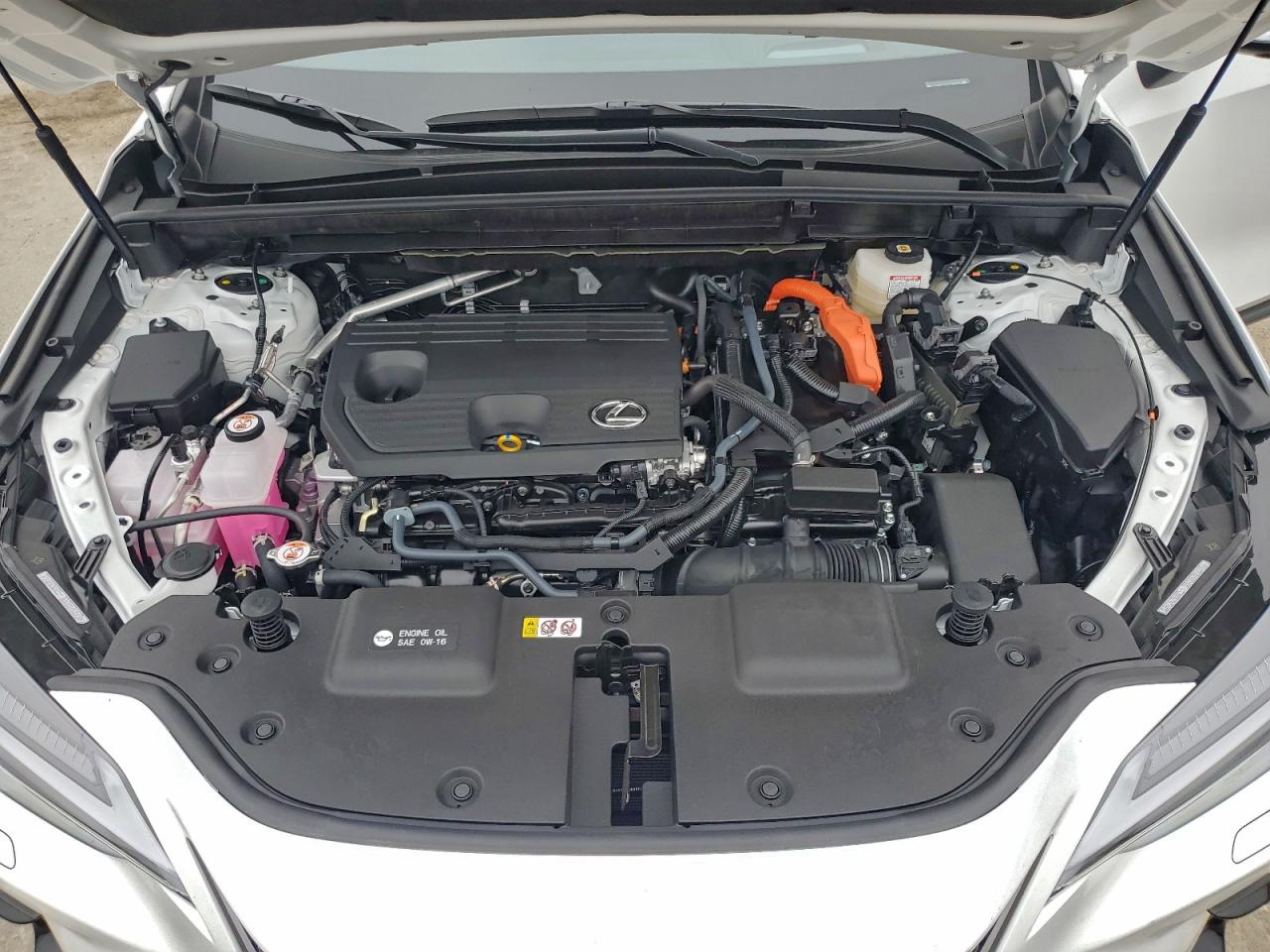 Lexus NX 350h Base Image 6