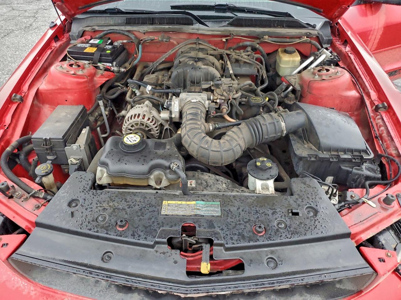 Ford Mustang Image 10