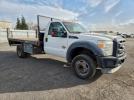Ford F-550 Super Duty Image 3